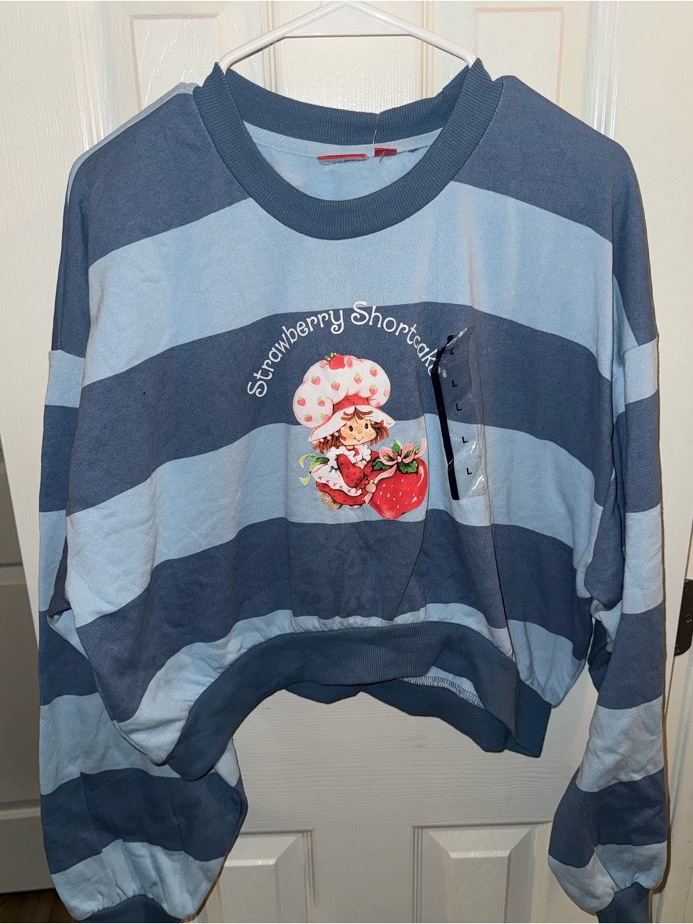LG Blue Striped Strawberry Shortcake Graphic Sweatshirt
